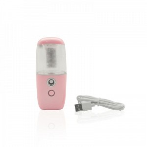 Portable Negative Ion Sprayer Steamer