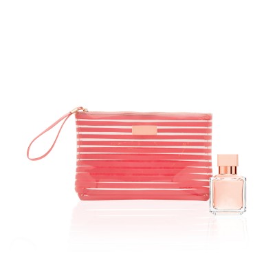 Striped Prints Transparent Zipped Pouch