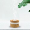 Ultrasonic Aroma Diffuser
